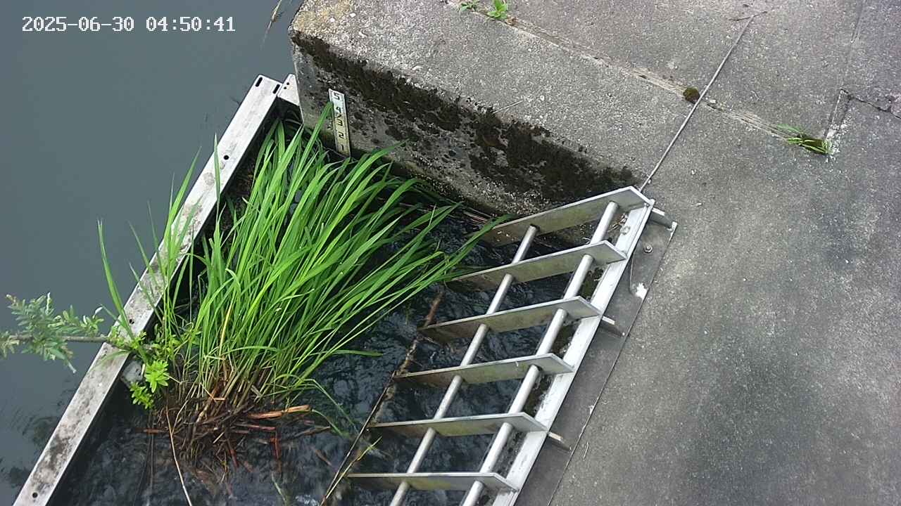yamashirozeki3-20250630045042.jpg